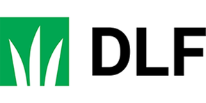 DLF Seeds (Trifolium)